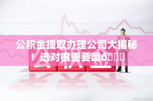 仙游公积金提取办理公司大揭秘！选对很重要哦😎