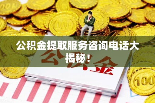 仙游公积金提取服务咨询电话大揭秘！
